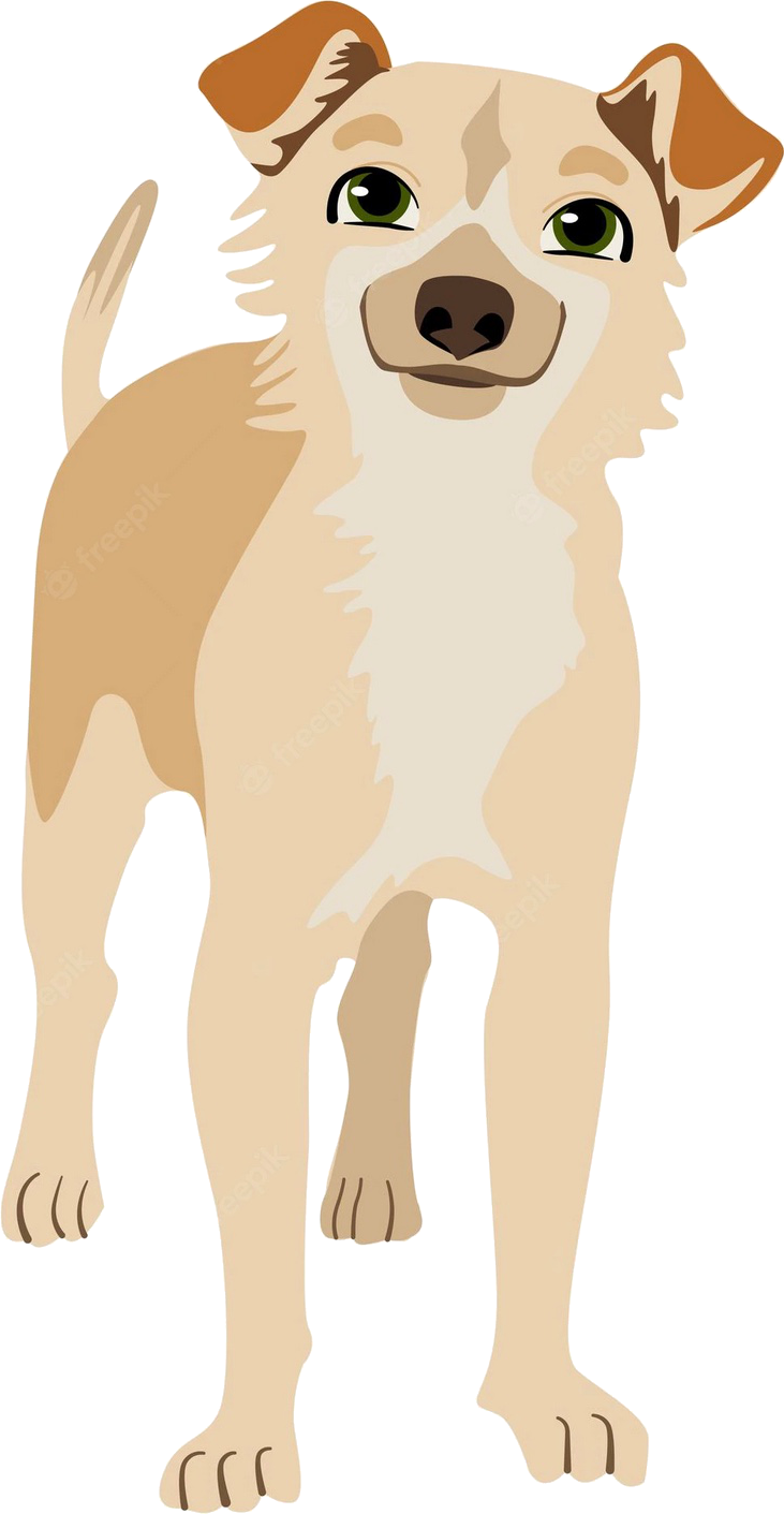 Perro sin raza