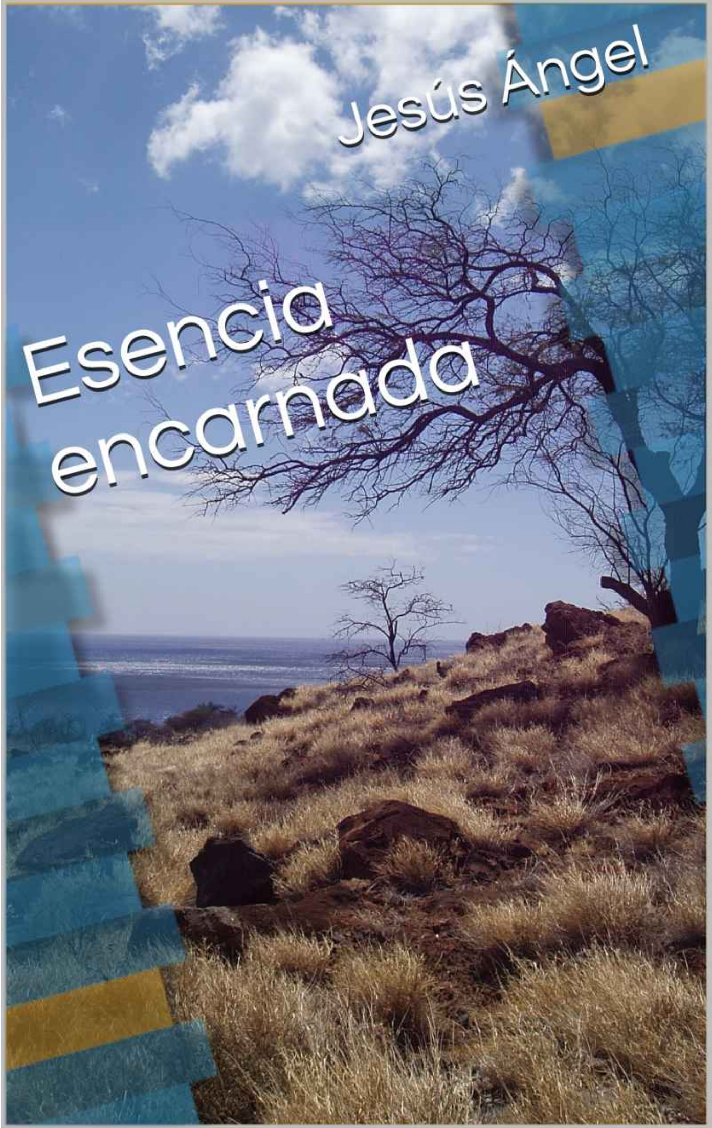 Portada de *Esencia encarnada*.