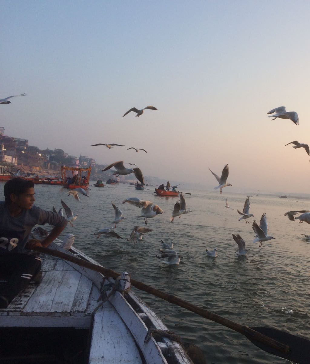Aun lado del Ganges no hay nada, al otro lado está la ciudad de Benarés o Varanasi, y las gaviotas se aceran a los botes de remos.